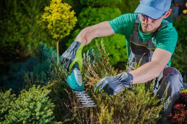 landscaping services Hilltop